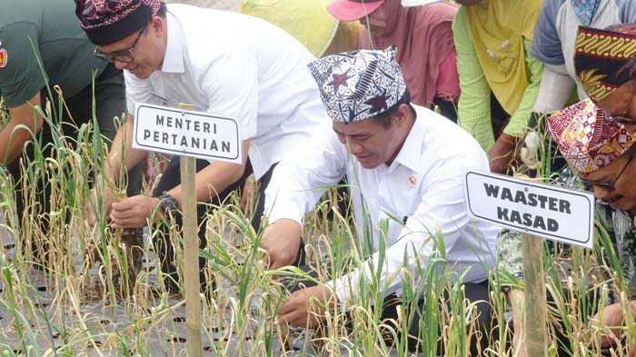 Cegah Kartel, Mentan Awasi 26 Perusahaan Peraih Ijin Impor Bawang Putih 2018